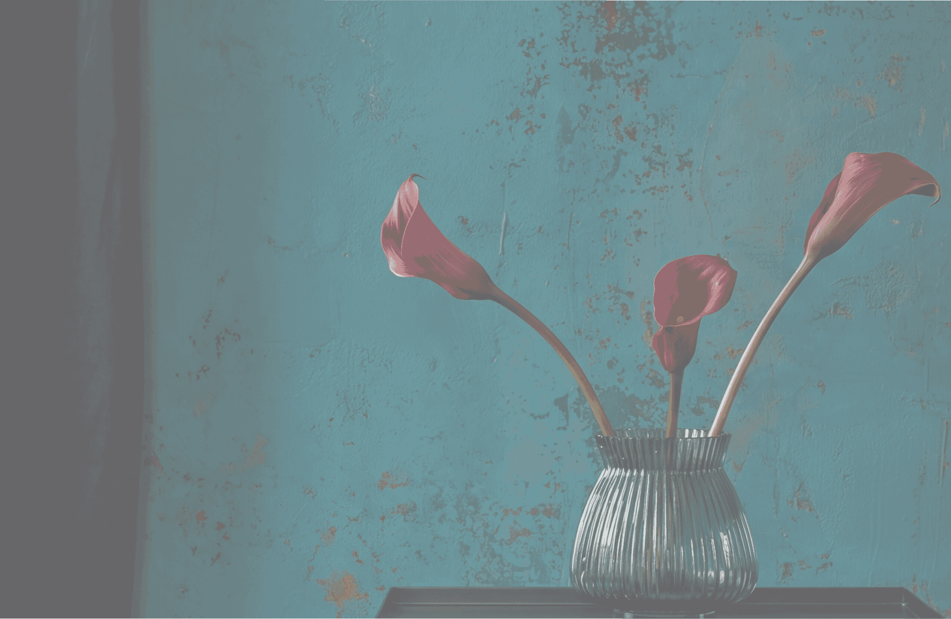 Flores de fondo